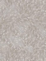 Agassiz Burst Light Brown Wallpaper 4082382033 by Advantage Wallpaper for sale at Wallpapers To Go