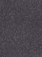 Agassiz Burst Black Wallpaper 4082382035 by Advantage Wallpaper for sale at Wallpapers To Go