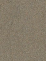 Gerard Beige Distressed Texture Wallpaper 404129908 by Advantage Wallpaper for sale at Wallpapers To Go
