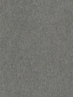Gerard Charcoal Distressed Texture Wallpaper 404129909 by Advantage Wallpaper for sale at Wallpapers To Go