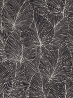Eilian Black Palm Wallpaper 4041456608 by Advantage Wallpaper for sale at Wallpapers To Go
