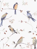 Birdsong Orange Trail Wallpaper 312413851 by Chesapeake Wallpaper for sale at Wallpapers To Go