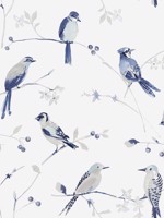 Birdsong Blue Trail Wallpaper 312413852 by Chesapeake Wallpaper for sale at Wallpapers To Go