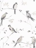 Birdsong Grey Trail Wallpaper 312413853 by Chesapeake Wallpaper for sale at Wallpapers To Go