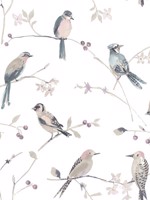 Birdsong Mauve Trail Wallpaper 312413854 by Chesapeake Wallpaper for sale at Wallpapers To Go