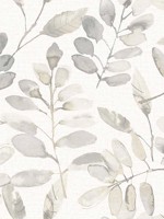 Pinnate Taupe Leaves Wallpaper 312413907 by Chesapeake Wallpaper for sale at Wallpapers To Go