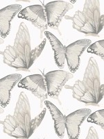 Janetta Grey Butterfly Wallpaper 312413931 by Chesapeake Wallpaper for sale at Wallpapers To Go