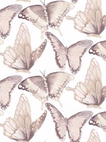 Janetta Blush Butterfly Wallpaper 312413934 by Chesapeake Wallpaper for sale at Wallpapers To Go
