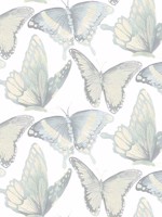 Janetta Mint Butterfly Wallpaper 312413935 by Chesapeake Wallpaper for sale at Wallpapers To Go