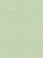 Agave Green Faux Grasscloth Wallpaper 312424284 by Chesapeake Wallpaper for sale at Wallpapers To Go