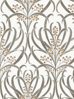 Calluna White Taupe Wallpaper AC9142 by Ronald Redding Wallpaper for sale at Wallpapers To Go