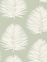 Island Palm Celadon Wallpaper SL80704 by Seabrook Wallpaper for sale at Wallpapers To Go