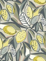 Meyer Chartreuse Citrus Wallpaper 401426418 by A Street Prints Wallpaper for sale at Wallpapers To Go