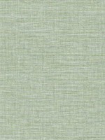 Exhale Light Green Texture Wallpaper 401426457 by A Street Prints Wallpaper for sale at Wallpapers To Go