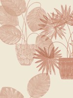 Aida Pink Potted Plant Wallpaper 401487556 by A Street Prints Wallpaper for sale at Wallpapers To Go