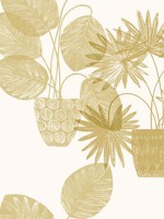 Aida Gold Potted Plant Wallpaper 401487557 by A Street Prints Wallpaper for sale at Wallpapers To Go