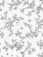 Nightingale Charcoal Floral Trail Wallpaper 407270065 by Chesapeake Wallpaper for sale at Wallpapers To Go