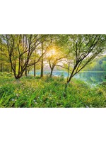 Spring Lake 8 Panel Mural 8524 by Brewster Wallpaper for sale at Wallpapers To Go