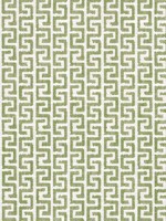 Merritt Olive Fabric W74253 by Thibaut Fabrics for sale at Wallpapers To Go