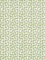 Merritt Spring Fabric W74254 by Thibaut Fabrics for sale at Wallpapers To Go