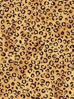 Classic Leopard Natural Tan Wallpaper DB20606 by NextWall Wallpaper for sale at Wallpapers To Go