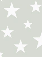 Amira Sage Stars Wallpaper WTG-242208 by Chesapeake Wallpaper for sale at Wallpapers To Go