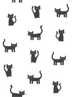 Delia Black Kitty Wallpaper WTG-242219 by Chesapeake Wallpaper for sale at Wallpapers To Go