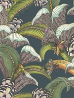 Hoopoe Leaves Forst Green Lime Fuchsia Dk Viridian Wallpaper WTG-242693 by Cole and Son Wallpaper for sale at Wallpapers To Go