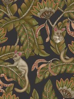 Bush Baby Spring Green and Orange Black Wallpaper WTG-242717 by Cole and Son Wallpaper for sale at Wallpapers To Go