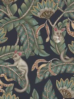 Bush Baby Teal and Ochre Ink Wallpaper WTG-242720 by Cole and Son Wallpaper for sale at Wallpapers To Go