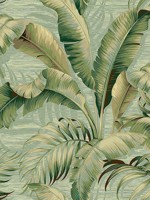 Palmiers Seamist Peel and Stick Wallpaper WTG-242810 by Tommy Bahama Wallpaper for sale at Wallpapers To Go