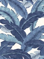 Swaying Palms Azure Peel and Stick Wallpaper WTG-242829 by Tommy Bahama Wallpaper for sale at Wallpapers To Go