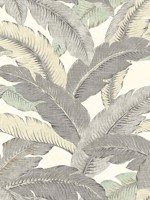 Swaying Palms Spa Peel and Stick Wallpaper WTG-242831 by Tommy Bahama Wallpaper for sale at Wallpapers To Go
