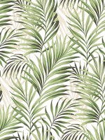 Tranquillo Aloe Peel and Stick Wallpaper WTG-242833 by Tommy Bahama Wallpaper for sale at Wallpapers To Go