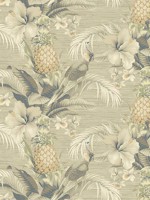 Beach Bounty Coconut Peel and Stick Wallpaper WTG-242836 by Tommy Bahama Wallpaper for sale at Wallpapers To Go
