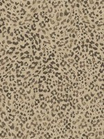 Sunny Spot Hemp Peel and Stick Wallpaper WTG-242842 by Tommy Bahama Wallpaper for sale at Wallpapers To Go