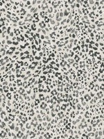 Sunny Spot Noir Peel and Stick Wallpaper WTG-242844 by Tommy Bahama Wallpaper for sale at Wallpapers To Go