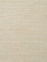 Linen Metallic Wallpaper WTG-242981 by Seabrook Wallpaper for sale at Wallpapers To Go