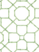 Arbor Green Wallpaper WTG-243368 by Thibaut Wallpaper for sale at Wallpapers To Go