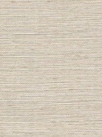 Sisal Grasscloth Parchment Wallpaper WTG-243439 by Winfield Thybony Wallpaper for sale at Wallpapers To Go