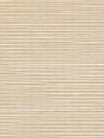 Sisal Grasscloth Cream Wallpaper WTG-243440 by Winfield Thybony Wallpaper for sale at Wallpapers To Go