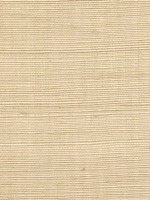 Sisal Grasscloth Manilla Wallpaper WTG-243441 by Winfield Thybony Wallpaper for sale at Wallpapers To Go