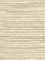 Sisal Grasscloth Sand Wallpaper WTG-243442 by Winfield Thybony Wallpaper for sale at Wallpapers To Go