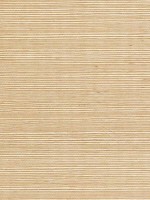 Sisal Grasscloth Barley Wallpaper WTG-243443 by Winfield Thybony Wallpaper for sale at Wallpapers To Go