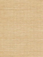 Sisal Grasscloth Wheat Wallpaper WTG-243445 by Winfield Thybony Wallpaper for sale at Wallpapers To Go
