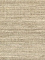 Sisal Grasscloth Flaxen Wallpaper WTG-243447 by Winfield Thybony Wallpaper for sale at Wallpapers To Go