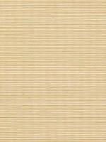 Sisal Grasscloth Custard Wallpaper WTG-243455 by Winfield Thybony Wallpaper for sale at Wallpapers To Go