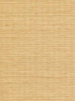 Sisal Grasscloth Mustard Wallpaper WTG-243460 by Winfield Thybony Wallpaper for sale at Wallpapers To Go