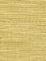 Sisal Grasscloth Citrine Wallpaper WTG-243463 by Winfield Thybony Wallpaper for sale at Wallpapers To Go
