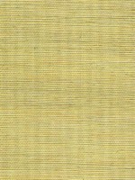 Sisal Grasscloth Metallic Lemon Grass Wallpaper WTG-243464 by Winfield Thybony Wallpaper for sale at Wallpapers To Go